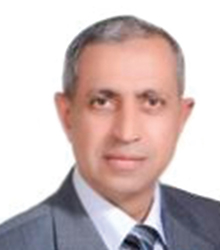 H.E. Dr. Ismail Abdel Ghafar Ismail Farag